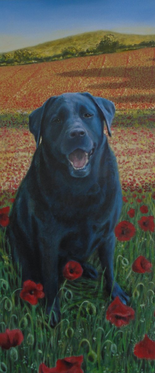 commision of Poppy by Michael Mullen