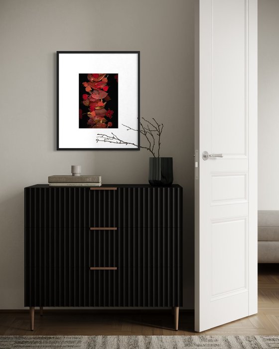 Autumn Leaves, An interplay of red and black
