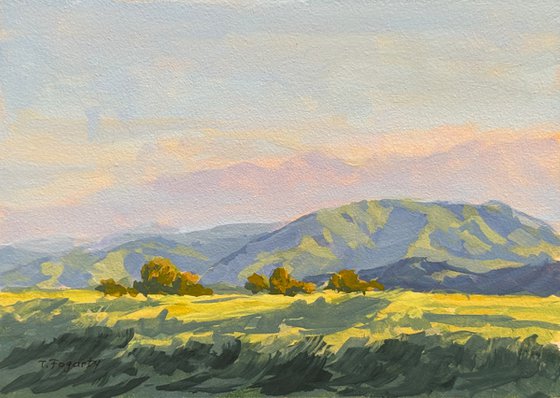 Afternoon Light Temecula Hills