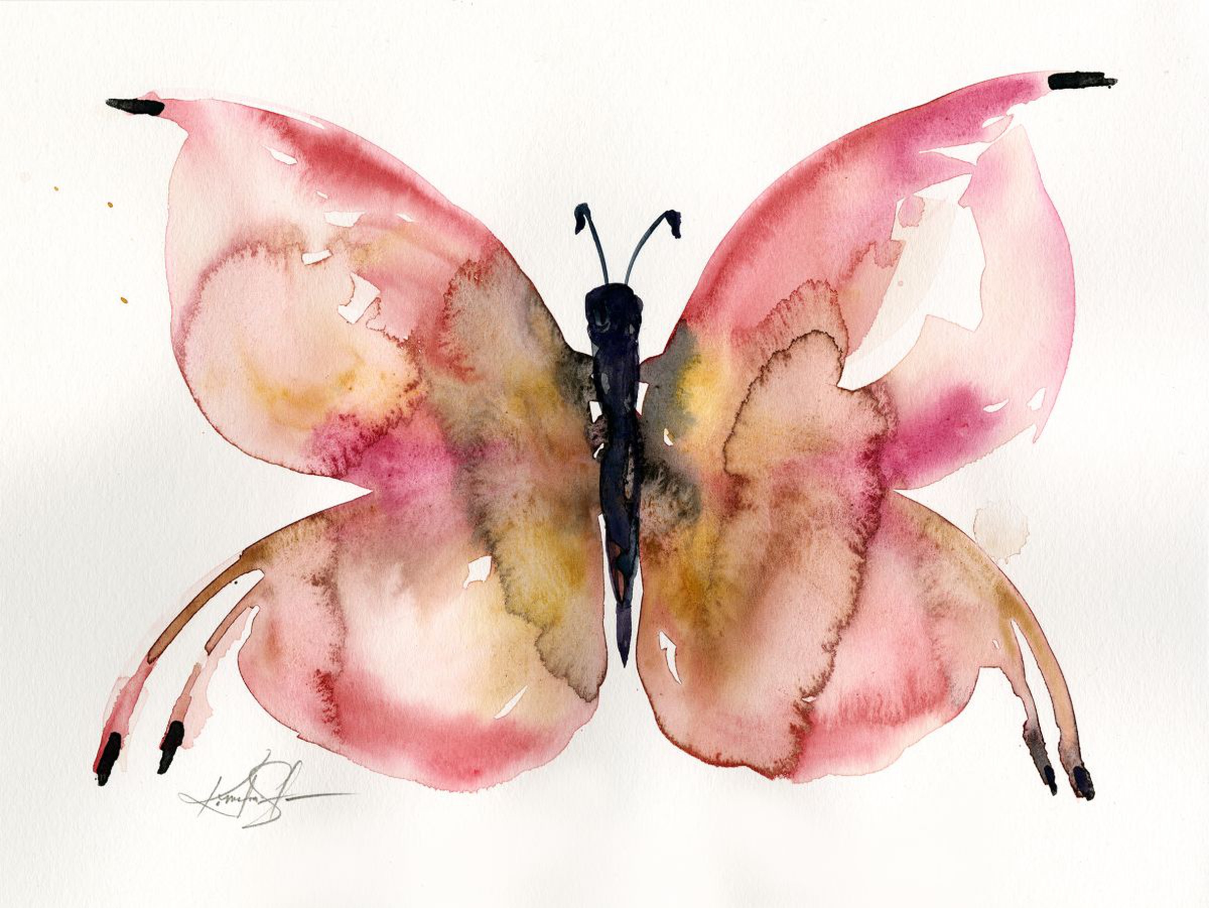 Watercolor Butterfly 2 Abstract Butterfly Wate Artfinder