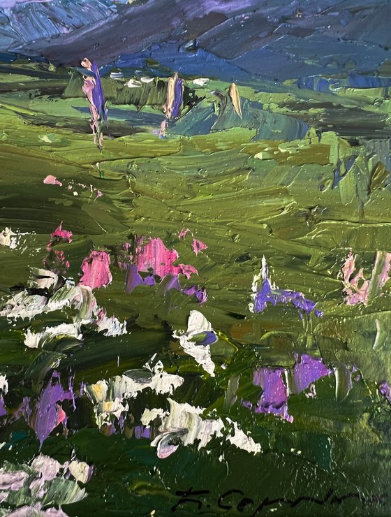 Flowering Mountain Fields