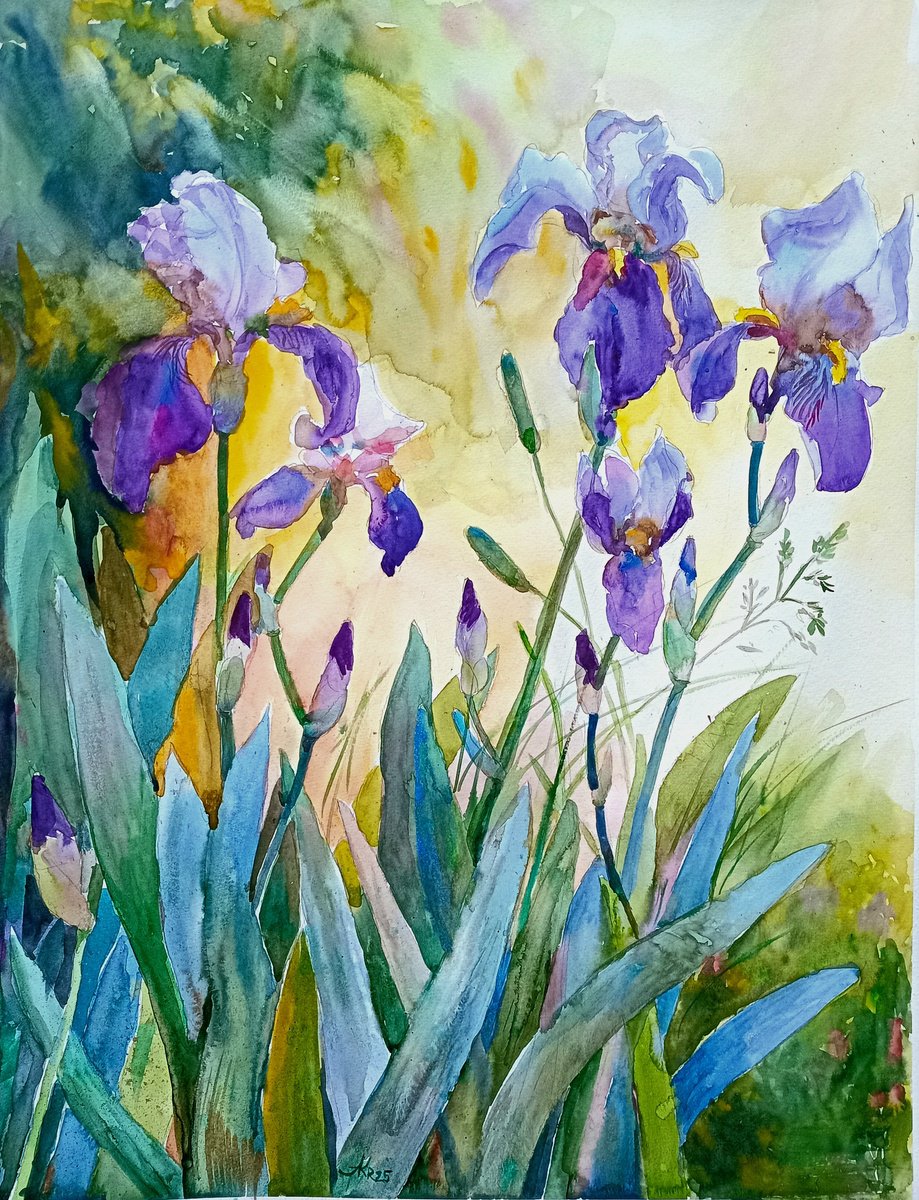 Impressionistic Botanical Watercolour By Ann Krasikova, 20 X 26, Charming Irises, Original Artwork