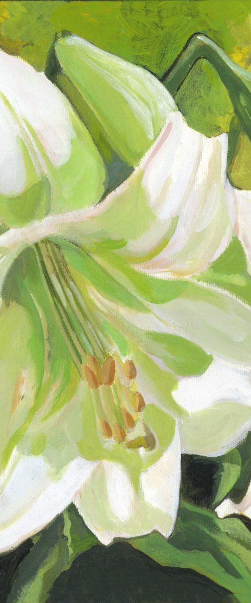 Easter lilies by Alfred  Ng