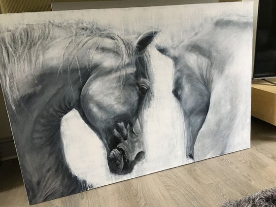 Horses Eye to Eye, large grey/white horse