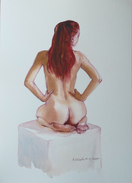 Female nude back study