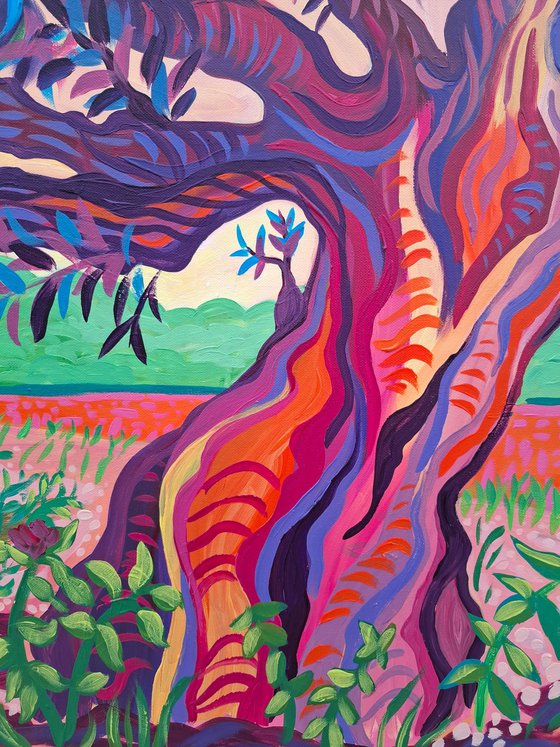 Sunset Olive Tree, Altea