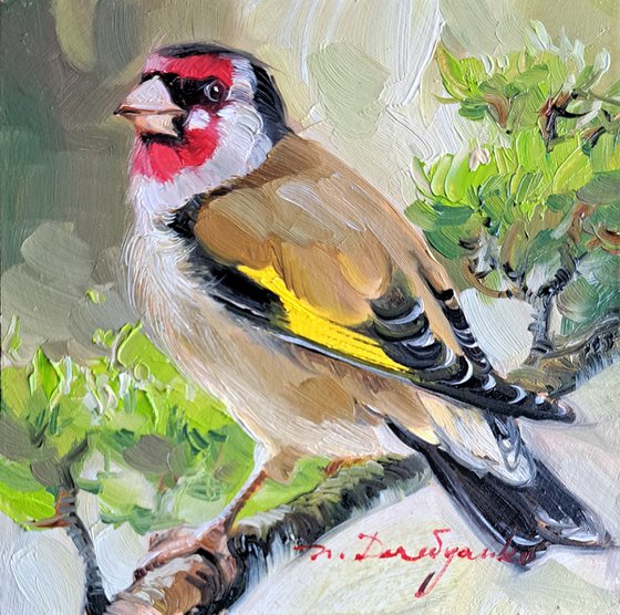 Goldfinch bird