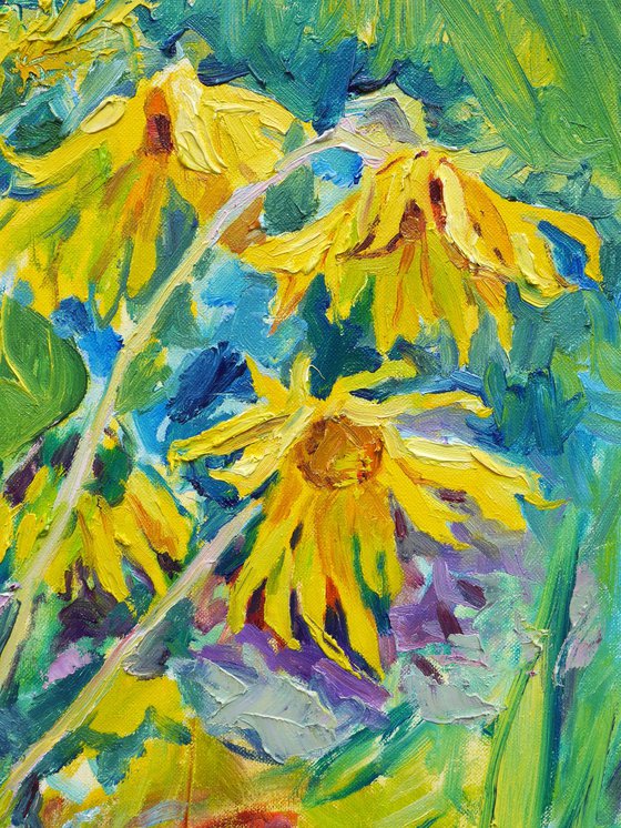 Sunflowers, sunny day