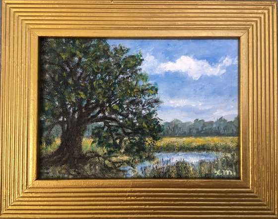 MARSH OAK - oil 5X7 (SOLD)