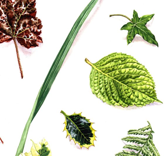 Leaf Library