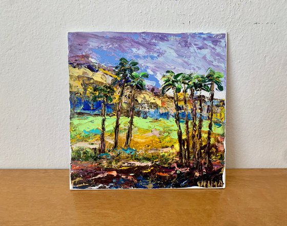Palm Springs landscape