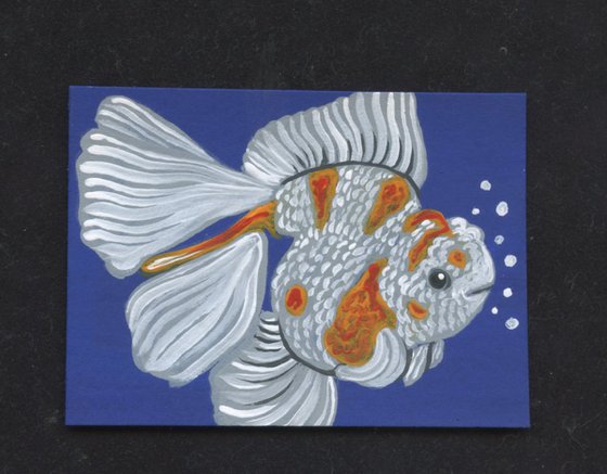 ACEO ATC Original Miniature Painting Oranda Goldfish Pet Art-Carla Smale