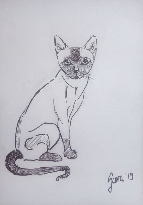 Siamese cat by Sara Radosavljevic