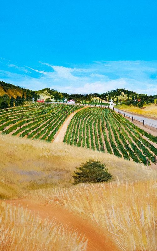 Into Sonoma County by Andrew Cottrell