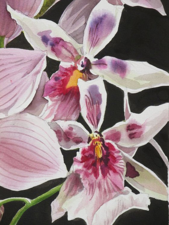 orchid bouquet