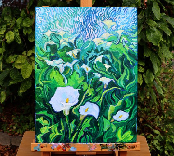 Pure White Arum Lilies