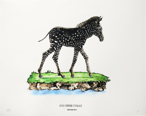 Disrupters (Spotty Zebra Foal)