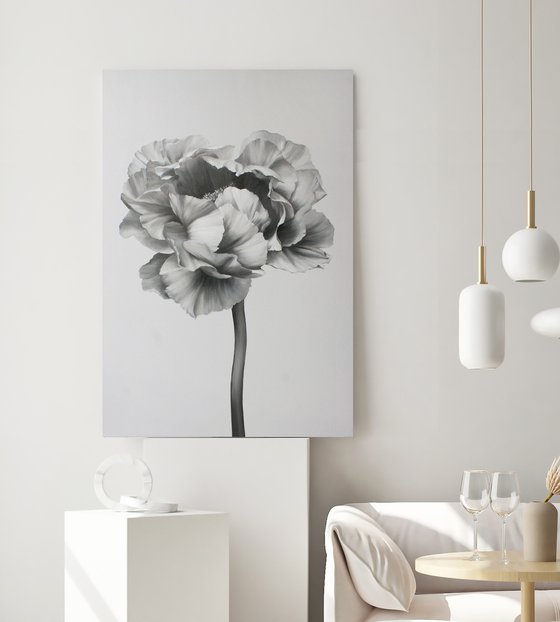 "Black and white peony 2" Black white flowers