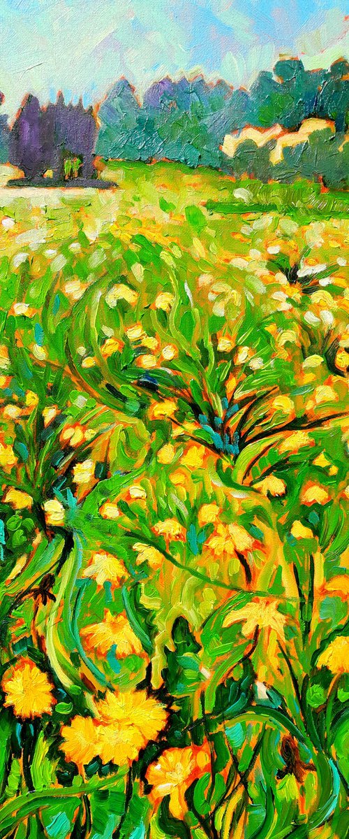 Dandelion Stars Carpet My Path by Mary Kemp