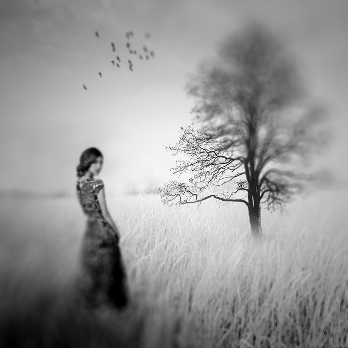 Surrealistic Portrait Photograph By Carmelita Iezzi, 24 X 24, As In A Dream, Original Artwork