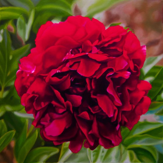 Peony