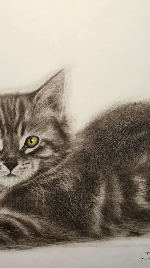 Oil painting reasilm realistic on paper cat ,, Kitten,, by Deimante Bruzguliene