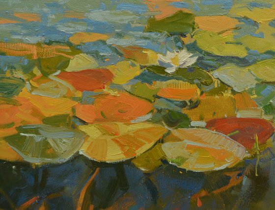 Water Lilies