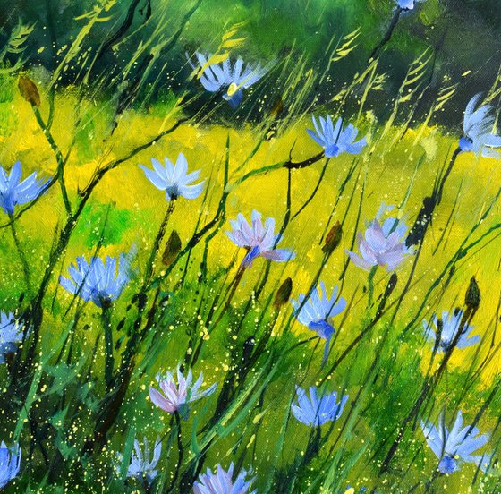 Wild chicory flowers