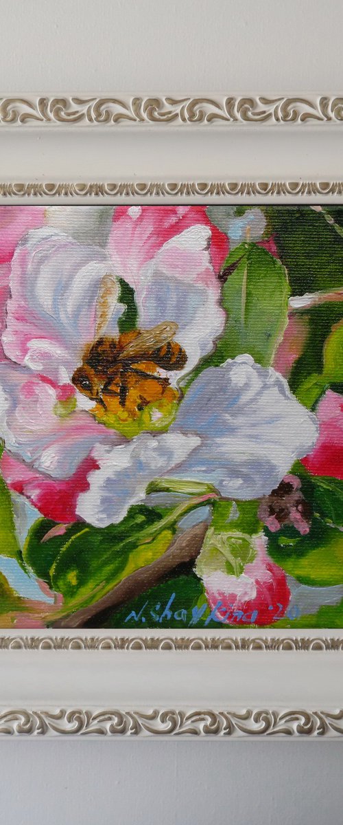 Bee on Apple Blossom by Natalia Shaykina