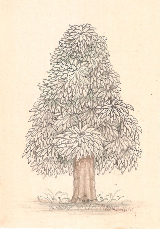 Baby Mango Tree | Indian Miniature