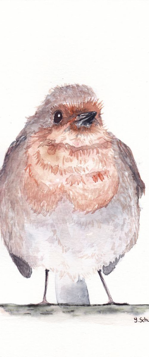 birds portrait by Yulia Schuster