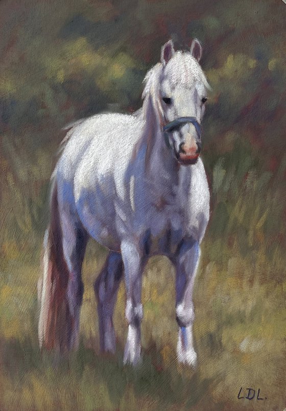 White Pony