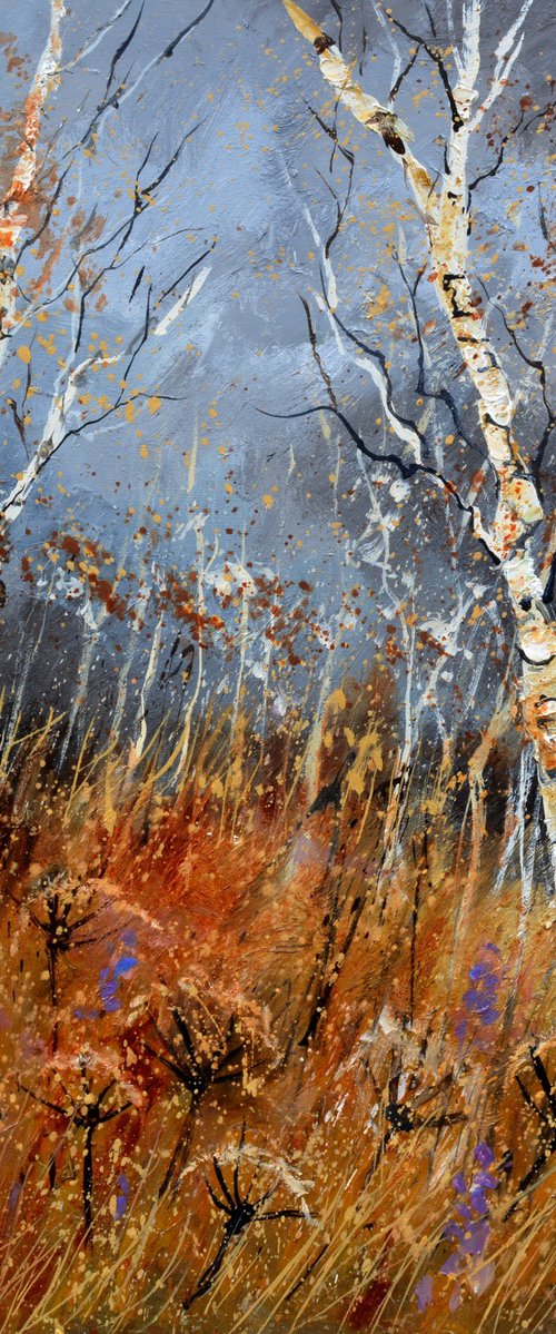 Aspen trees in winter - 7723 by Pol Henry Ledent