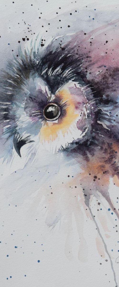 'Owl' by Nicola Colbran