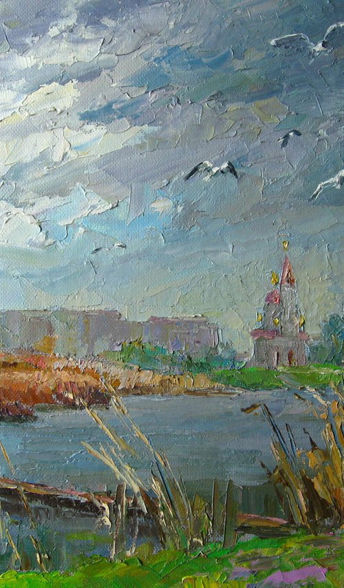 Gulls over the river. Dry Kagamlyk by Boris Serdyuk