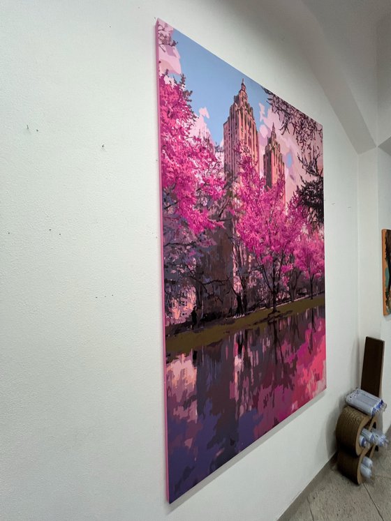 Blossom Reflections