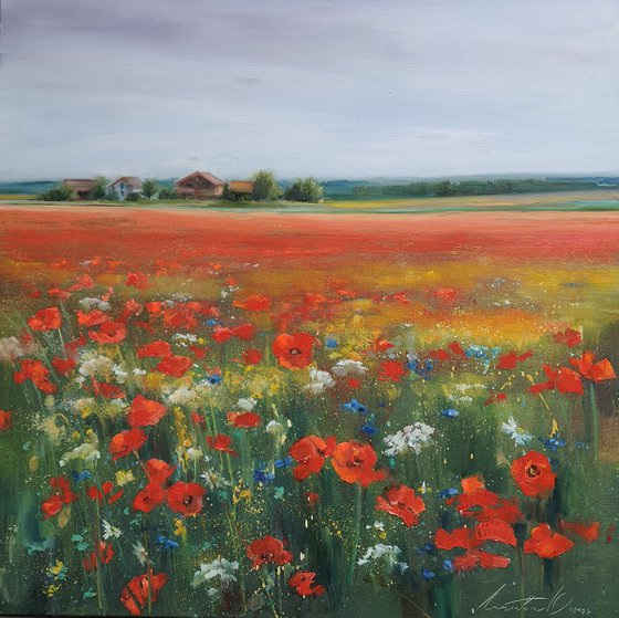 Poppies on the field
