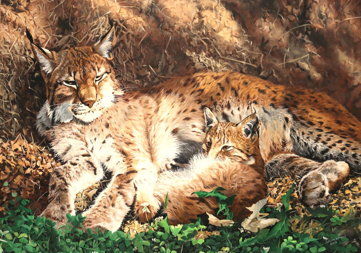 Photorealistic Animal Acrylic Painting By Julian Wheat, 35 X 25", Lynx And Cub, Original Artwork