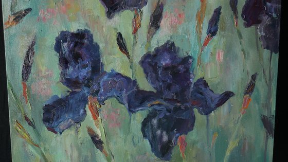 Irises - irises Black Dragon painting #5