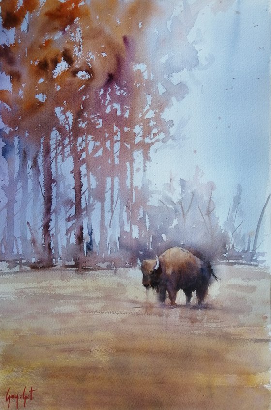 bison