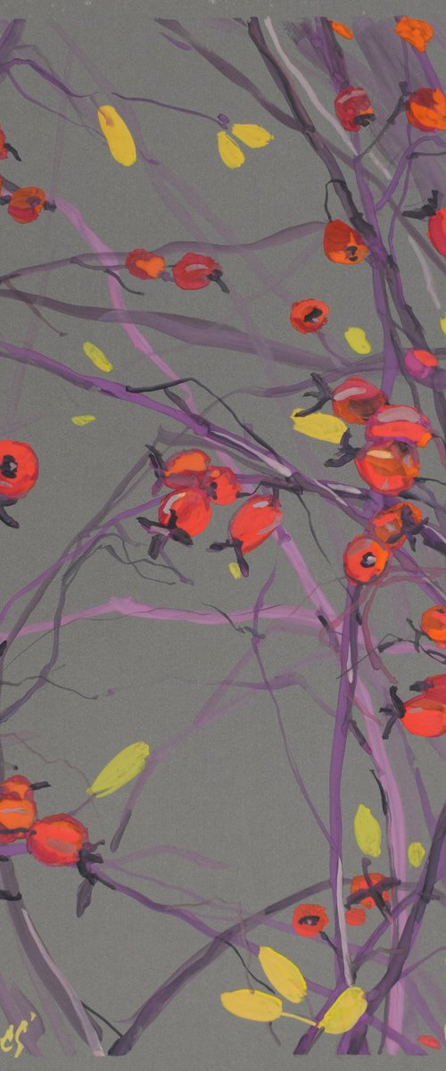 Autumn rosehip by Elena Sanina