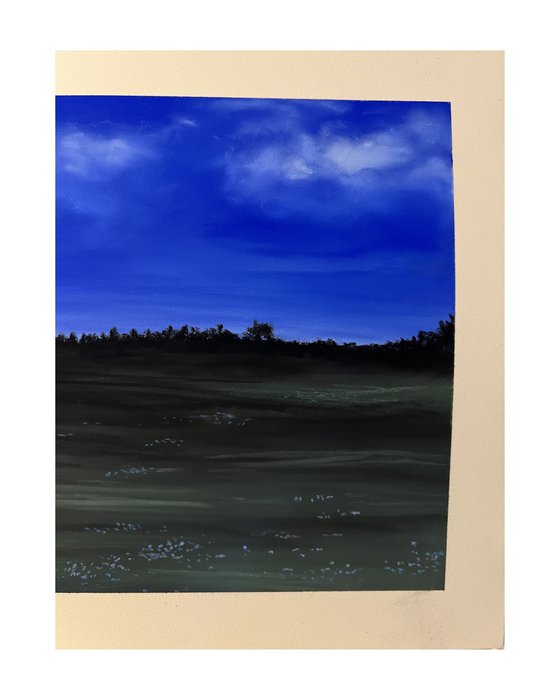 Wiese in der blauen Stunde