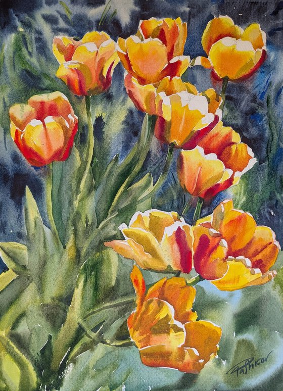 Tulips#5