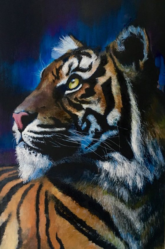 Blue/black Tiger