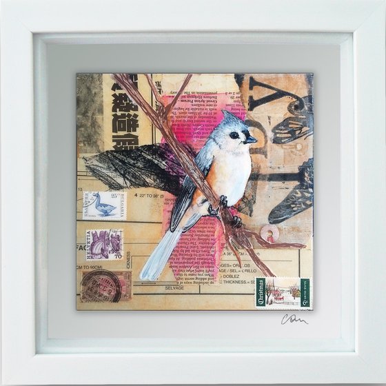 Tufted titmouse - Ornithology #8 - Framed ready to hang original painting