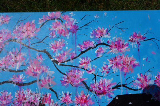 Sakura in Nara