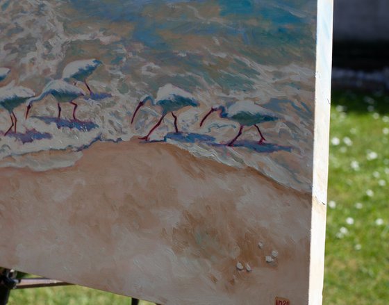 White Ibises