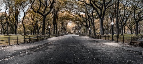 Poets Walk Central Park by Nick Psomiadis