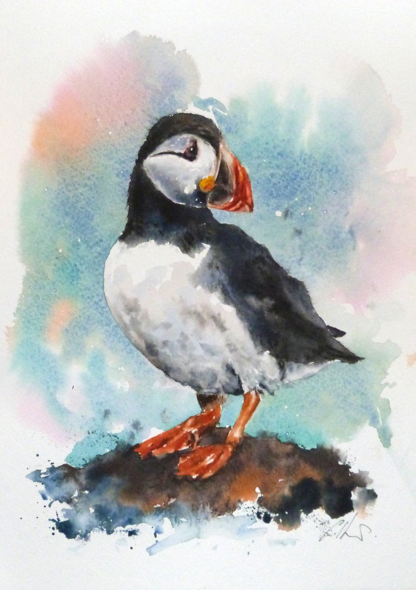 Puffin by Graham Kemp