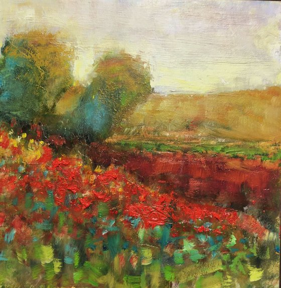 Fields of wildflowers (red poppies)